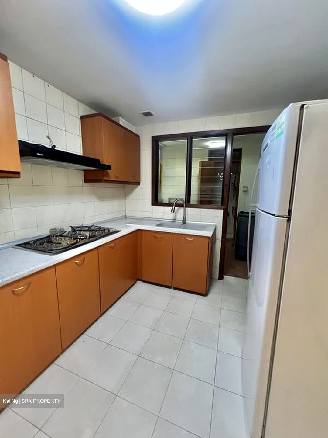 Carissa Park Condominium (D17), Condominium #547820971